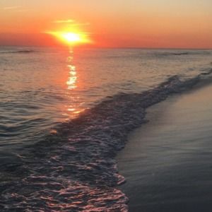 Meet your Posher, Annalee